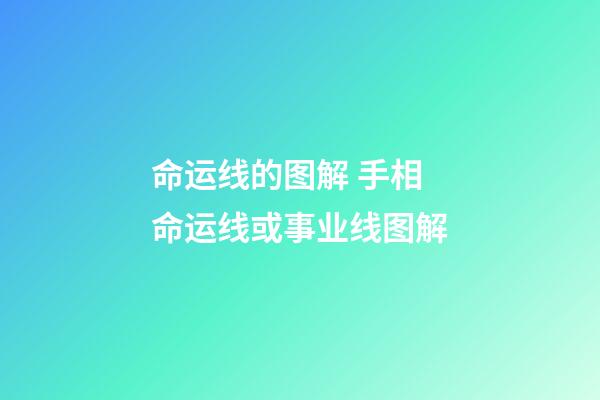 命运线的图解 手相 命运线或事业线图解-第1张-观点-玄机派